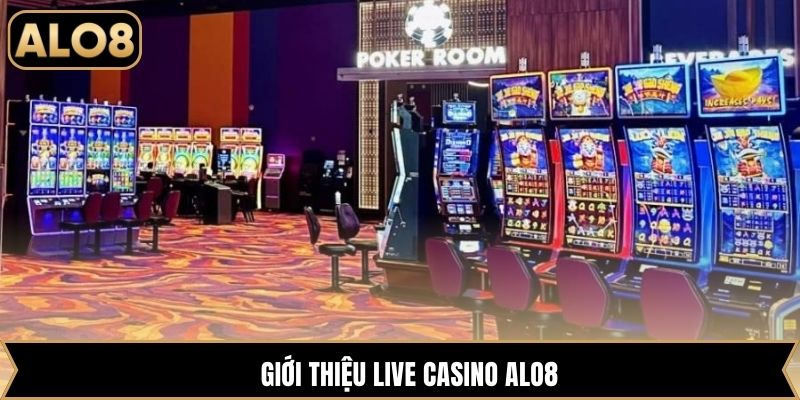 Giới thiệu Live Casino Alo8